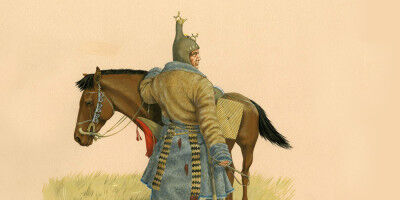 Mineralized dental plaque from the Iron Age provides insight into the diet of th