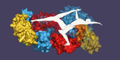 Akrobatik-Duo in der Zelle