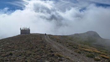 Biological particles may be crucial for inducing heavy rain