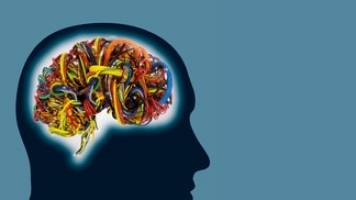 Brain Awareness Week 2012 - Lausanne