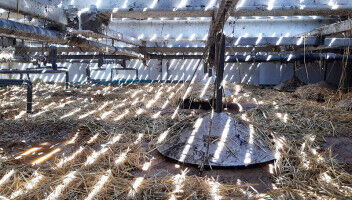 Comment les mat�riaux locaux et le climat influencent la conception optimale des