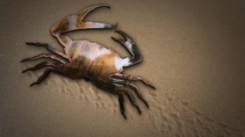 Copper intake makes tumors breathe