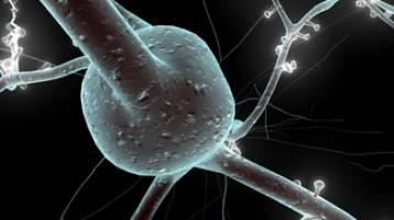 Data mining opens the door to predictive neuroscience