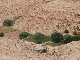Événement - Des bisses valaisans aux jessour tunisiens : le savoir-faire ancestral de l accès à l eau - UNIL Des bisses valaisans aux jessour tunisiens : le savoir-faire ancestral de l accè