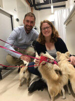 Dogs affect the quality of our indoor air