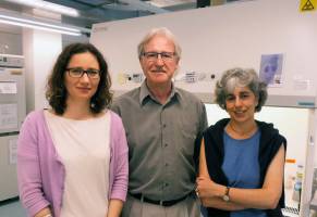 Eine Million f�r eine innovative Idee: Parasiten in der Sackgasse