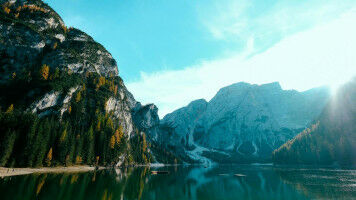 Forest Finance conference held at USI