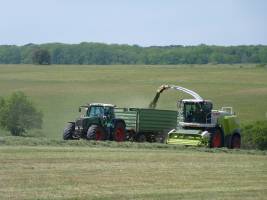 Gr�ssere Artenvielfalt in Wiesen f�hrt zu umfangreicheren Dienstleistungen der �kosysteme