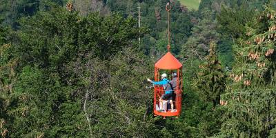 Heat stress: the climate is putting European forests under sustained pressure