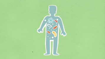 How microbes influence inflammatory diseases