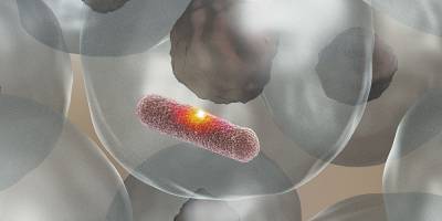 Immunabwehr ohne Kollateralschaden