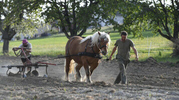 La ferme de Bassenges, agriculture low-tech sur un campus high-tech