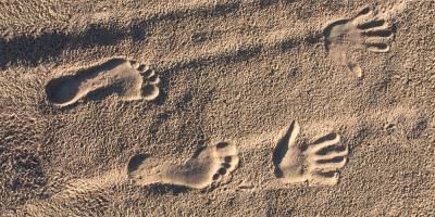 Laufen hat Hand und Fuss: Wie lange Nervenfasern die Bewegungen unserer Extremit�ten miteinander koppeln