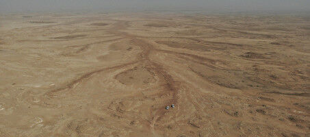 Il passato verdeggiante del più grande deserto del mondo