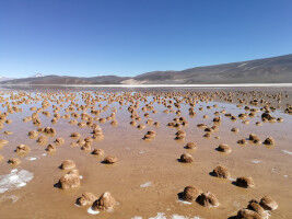 Le projet Genesis sur l'origine de la vie devient un pôle de recherche national