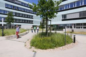 Les spin off de l'EPFL sont boostées par un écosystème efficace