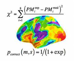 Mathematik befl�gelt Hirnforschung