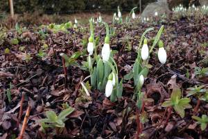 Mit �OpenNature� k�nnen alle forschen