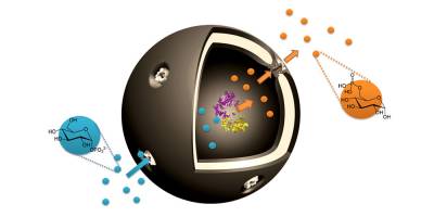 Nanocapsules Enable Cell-Inspired Metabolic Reactions