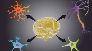 New analysis method disentangles molecular changes in human disease.