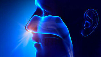 New horizons for nose medicine
