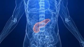New insightes in early specification of pancreas progenitors