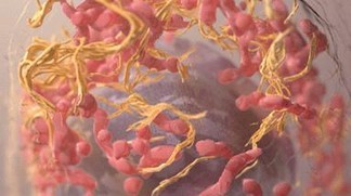 � 2011 par Science3point0.com