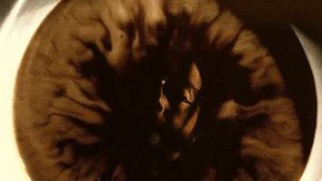 Nonretinotopic Exogenous Attention.