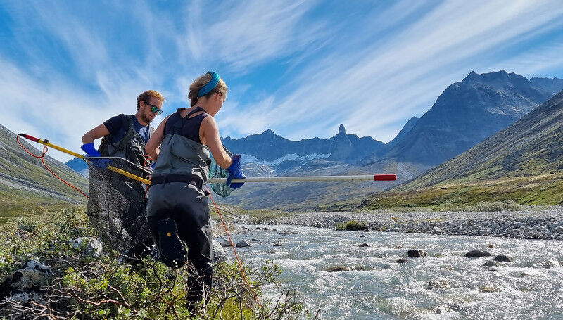 Umwelt - Biowissenschaften - Das Abschmelzen der Gletscher verändert die Nahrungsnetze in den Gewässern, wie hier in Grönland, aber auch im alpinen Raum. (Foto: Coralie Moccetti) Umwelt - Biowissenschaften