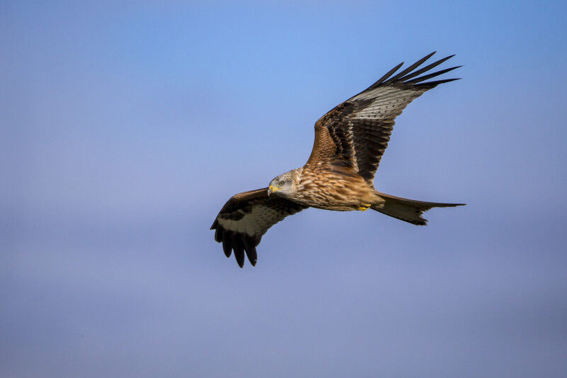 Ambiente - © Marcel Burkhardt Ambiente