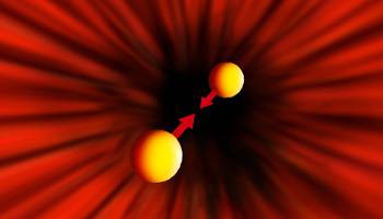 Physik: Geckokr�fte im Dienste der Nanowissenschaft