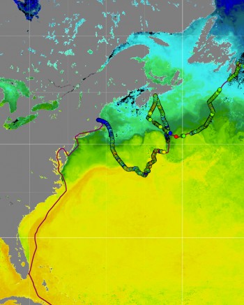Repr�sentation des temp�ratures de la surface de l&rsquo;oc�an Atlantique au voi