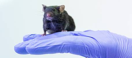 Pour la recherche m�dicale et scientifique � Gen�ve