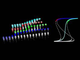 Protein-P�rchen machen's m�glich: Zellen erinnern sich