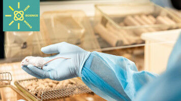 Quand la recherche avec les animaux fait avancer la science