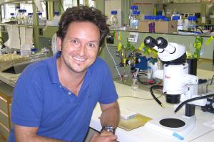 Researchers create Methuselah fly by selecting best cells