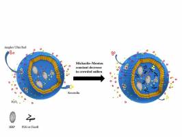 Researchers Imitate Molecular Crowding in Cells