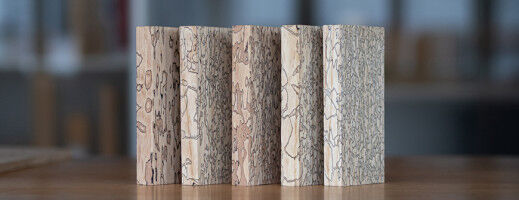 Environment - Signed by fungi - EMPA Signed by fungi