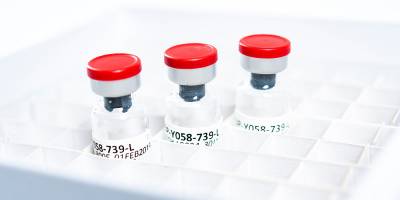 Spin-off: Bakterielle Krebstherapie vor klinischer Testung