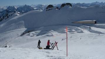 Tracking genes from the sky