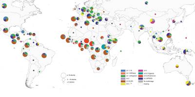 Tuberkulose-Erreger suchen sich ihre �kologische Nische