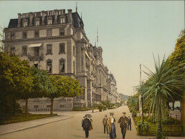 Construire ou v�g�taliser ? Place aux plantes en ville