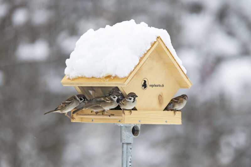 Environnement - Agronomie & Science alimentaire