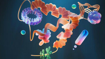 USI wins 3 NRP grants as applicant and 2 as co-applicant