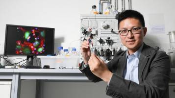 Vers une immunoth�rapie qui ne s'attaque qu'aux tumeurs