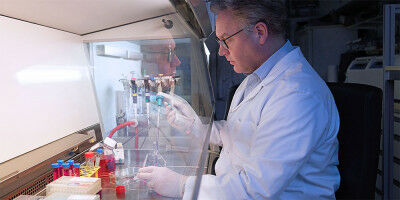 'We generate tiny brains in the Petri dish'